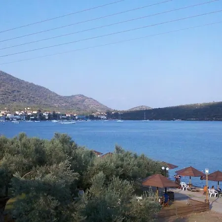 Bay *